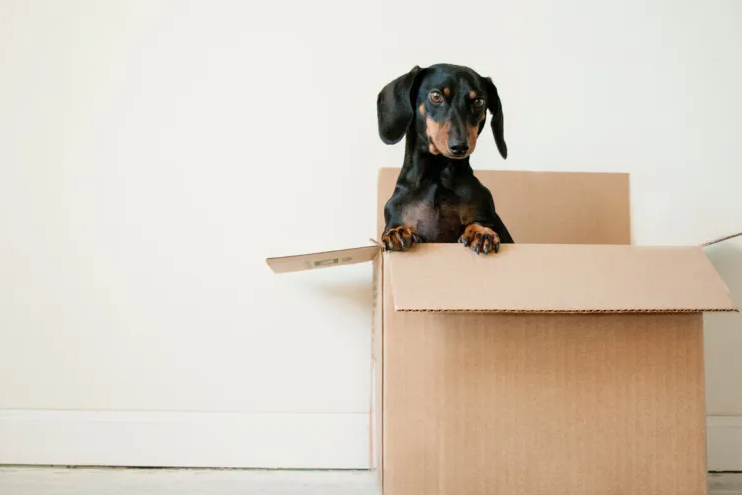rental-property-advice-home-ownership-mortgage-broker-brisbane-southside
